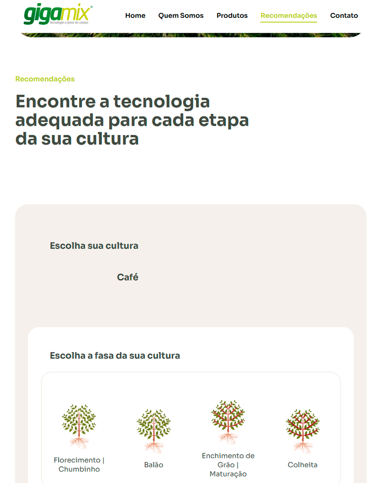 Recommendations Page